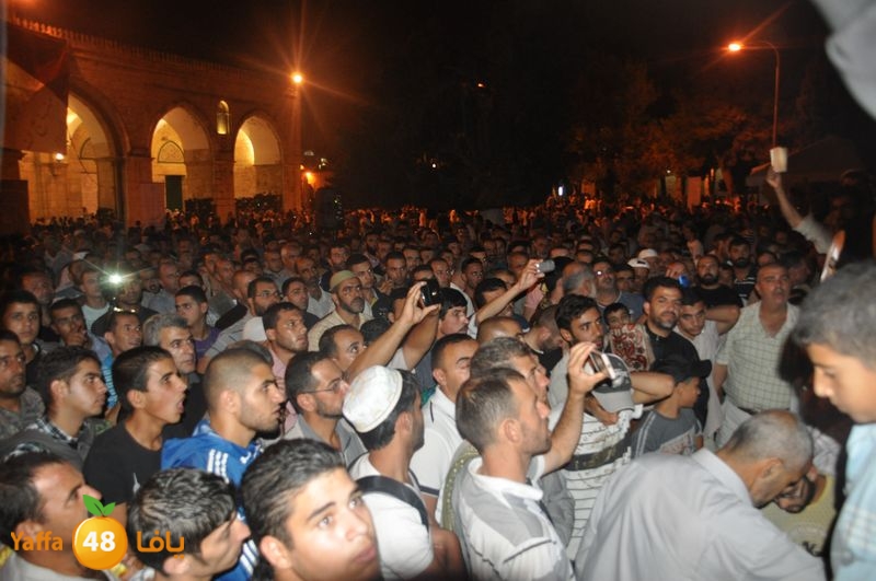 lud trawer7 aqsa 805 (49).JPG